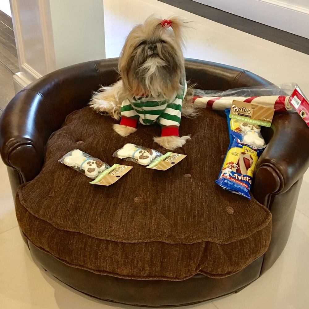 Meet your Posher, Teresa